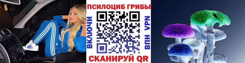 Галлюциногенные грибы мицелий  наркота  Отрадное 